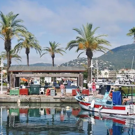 2 Pieces Au Lavandou Avec Terrasse, Wi-fi Et Parking Prive A 5min De La - Fr-1-251-710 * Le Lavandou
